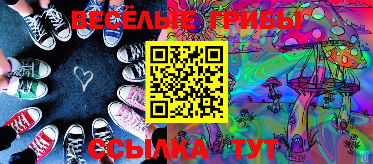 Псилоцибиновые грибы GOLDEN TEACHER  Галлюциногенные грибы Cubensis  Вход с VPN  купить наркотики сайты  Волгоград 